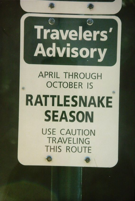 Schlangenwarnung