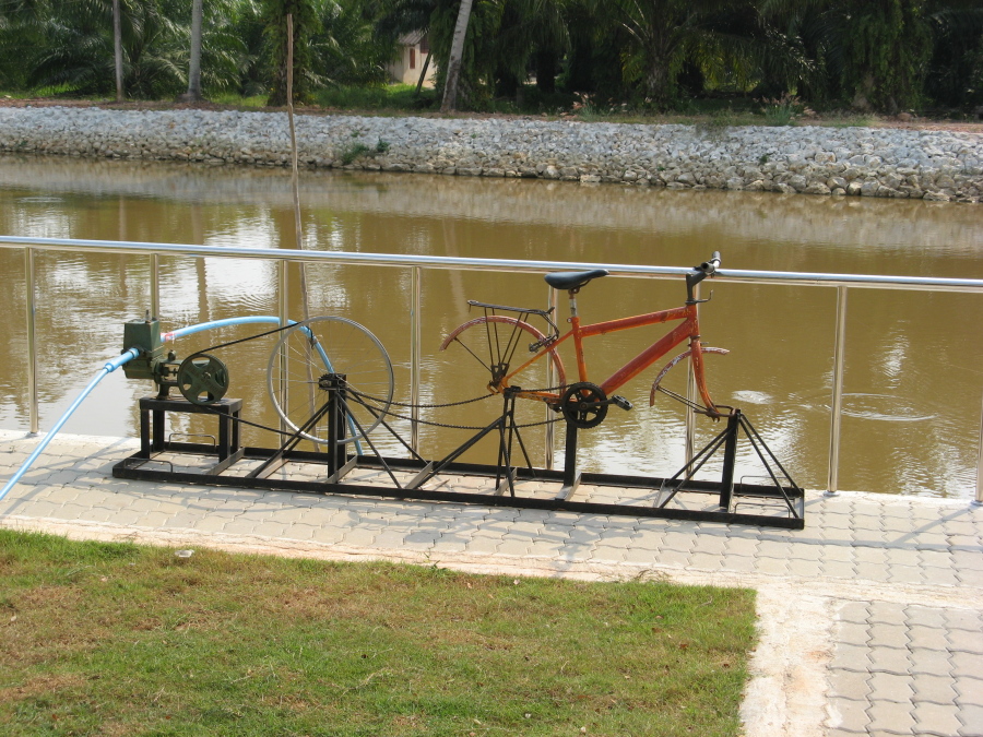 Fahrradfahrn auf thailändisch